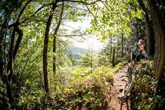 Suicide six mountain sales biking