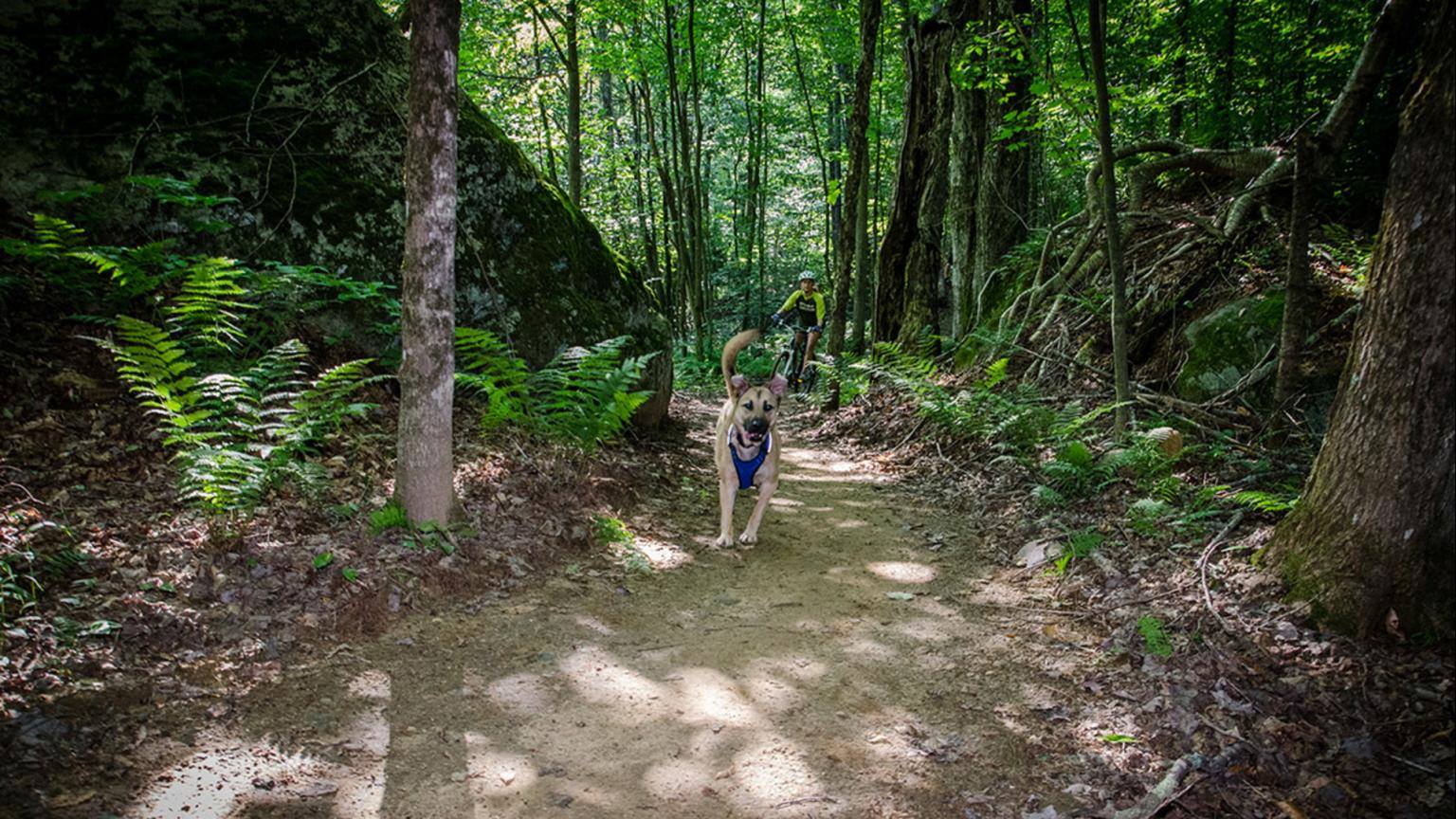 Sherburne Trails KMBC VMBA